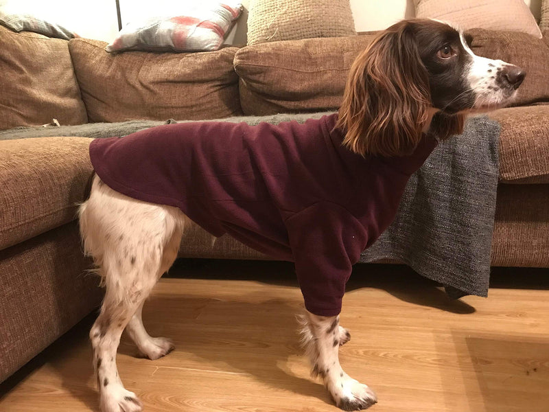 Hotterdog Fleece Jumper (from Equafleece)Small black - PawsPlanet Australia