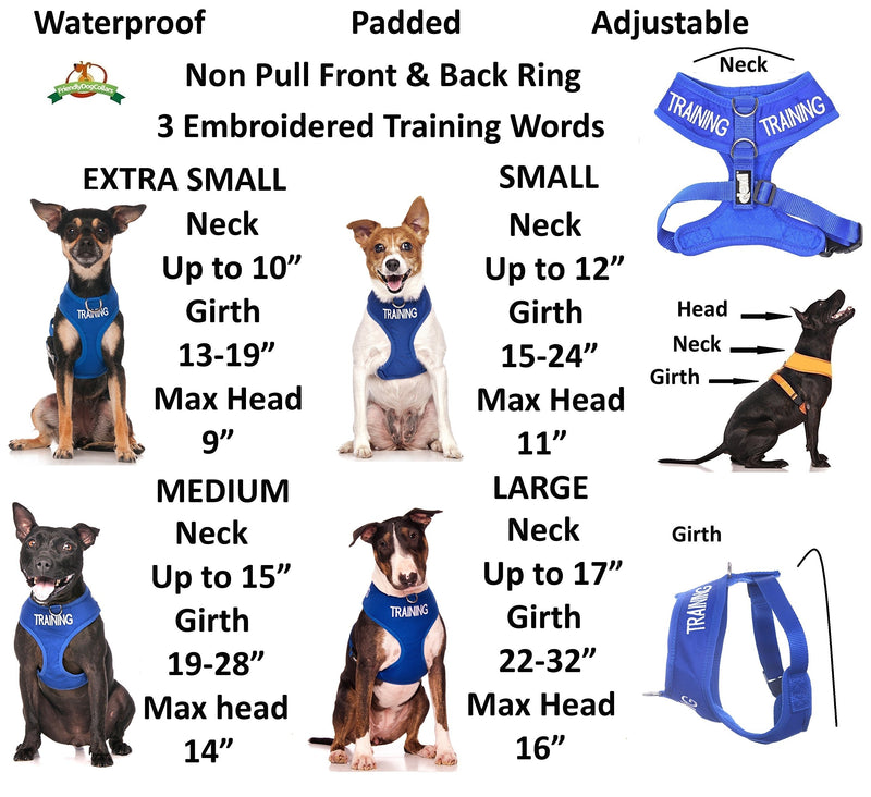 [Australia] - TRAINING (Dog In Training/Do Not Disturb) Blue Color Coded Non-Pull Front and Back D Ring Padded and Waterproof Vest Dog Harness PREVENTS Accidents By Warning Others Of Your Dog In Advance Large Harness 22-32inch Chest/Girth 