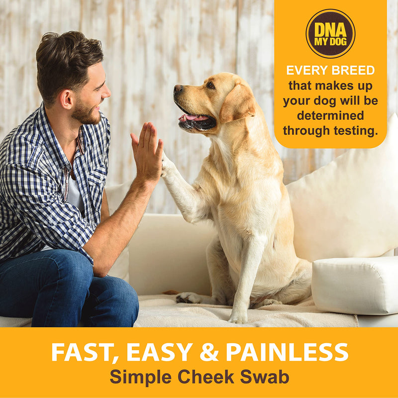 DNA My Dog Canine Breed Identification Test - PawsPlanet Australia