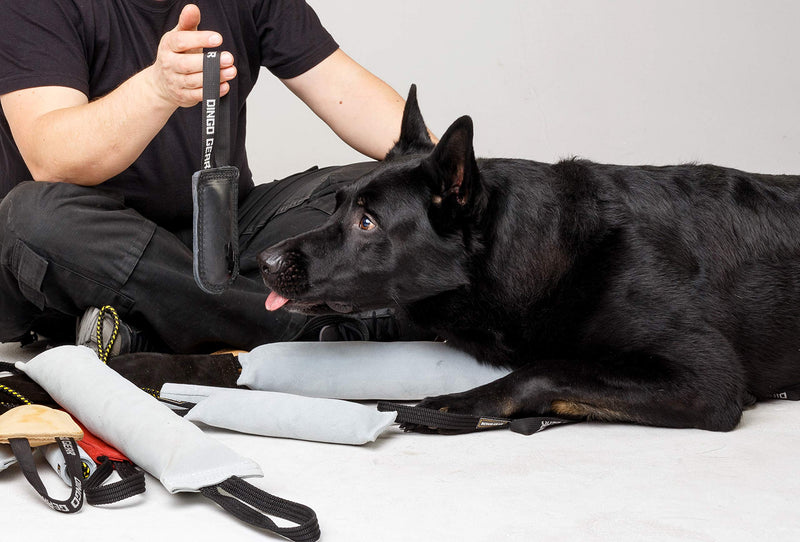 Dingo Gear Dog Bite Tug Handmade of Black Grain Leather Strong For Training K9 Ipo Agility and Just Fun S00226, Black - PawsPlanet Australia