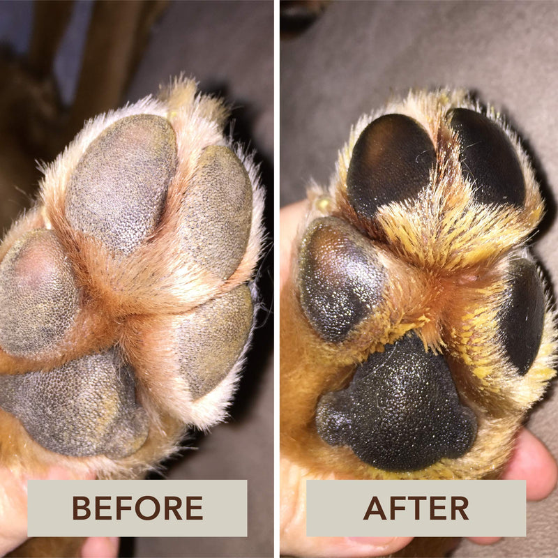 [Australia] - Natural Dog Company - Paw Soother - Heals Dry, Cracked, Irritated Dog Paw Pads - Organic, All-Natural Ingredients, Easy to Apply .15 OZ 