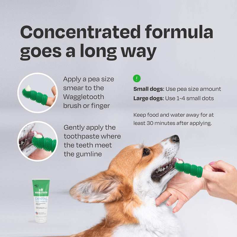 Natural Dog Toothpaste Enzymatic with Probiotics - Toothpaste for Dogs Reduces Tartar and Plaque - Manufactured in USA - with Natural Ingredients for Dog Teeth Cleaning and Dog Dental Care - Mint - PawsPlanet Australia