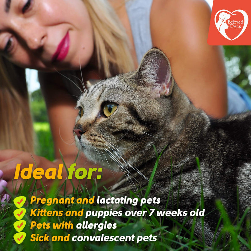 Flea and Tick Prevention for Dogs and Cats - Natural Flea Treatment for Pets Kittens Puppies - 100% Immediate Super Effect - 3 Months Supply - Flea and Tick Repellent Control… (Small) - PawsPlanet Australia