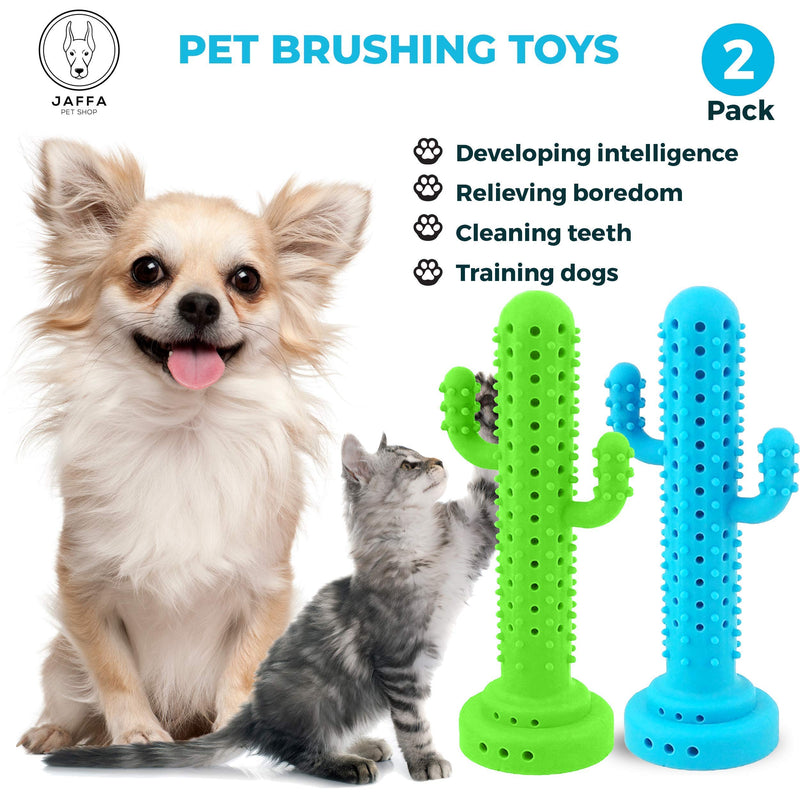 Jaffa Pet Shop Cactus Teething Cat Toy Mint 100% Soft Silicon Interactive Cat Teether Catnip Toy Durable and Soft Bite Resistant Pet Chewable Toy Cat Dental Care Toy with 2 Small Bell and 6 Catnips - PawsPlanet Australia