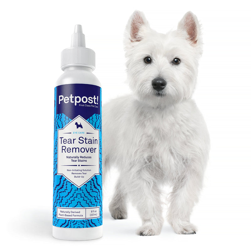 Petpost | Tear Stain Remover for White Dogs Starter Pack with Tear Stain Soft Chews, Eye Stain Remover, and Eye Crust Comb for Maltese, Shih Tzu, Bichon Frise (Tear Stain Starter Pack w/Soft Chews) - PawsPlanet Australia