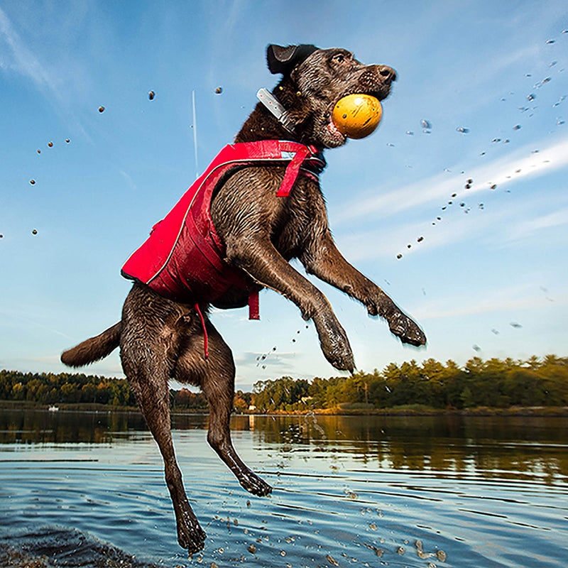 Kurgo Dog Lifejacket Medium Red - PawsPlanet Australia