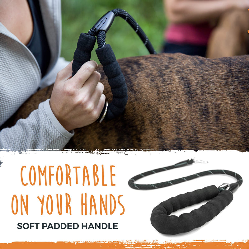 Mighty Paw Two dog leash with rope handle, double dog leash, double dog leash, multiple dog leash for 2 dogs, double leash for dogs, 2 dog leashes, leash clutch black - PawsPlanet Australia