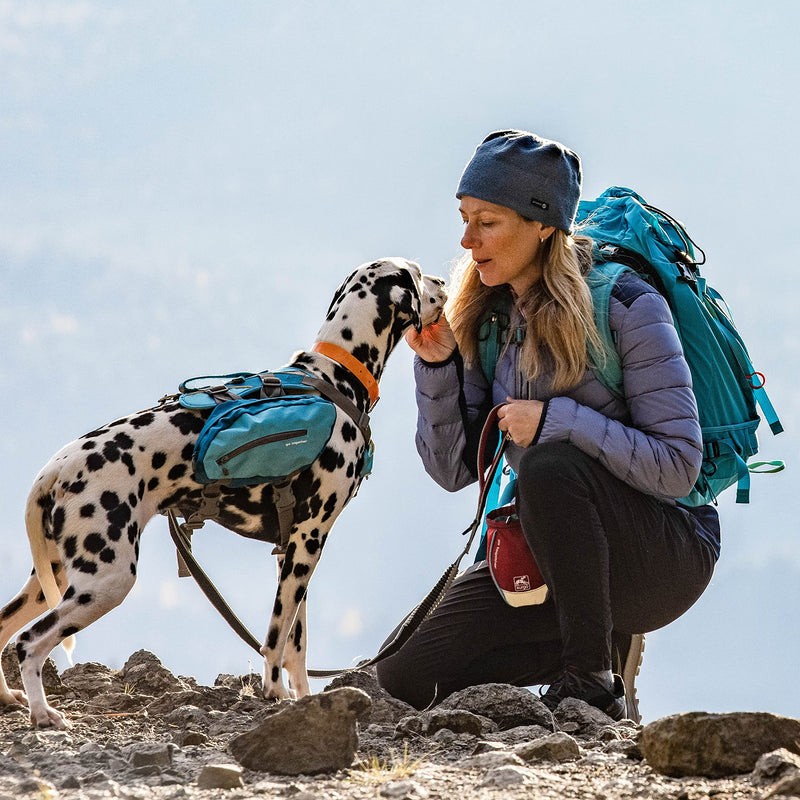 Kurgo Dog Training Treat Pouch Bag, Treat Bags, Portable Pet Pocket Waist Clip Bag, Reflective Snack Bag for Pets, Includes Clip & Carabiner MOLLE Straps, New Carabiner Chili Red - PawsPlanet Australia