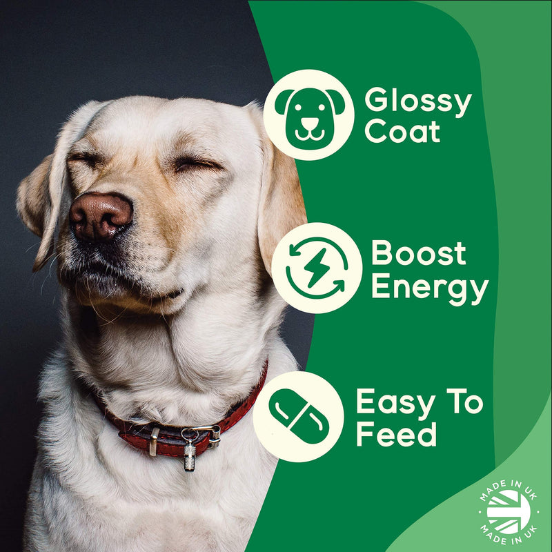 Supplements Wise Dog Vitamins and Supplements - For Strong Joints, a Shiny Coat and Healthy Skin - Suitable for Your Puppy or Senior Dog - 120 Chicken Flavour Tablets - Premium Quality Multivitamin - PawsPlanet Australia