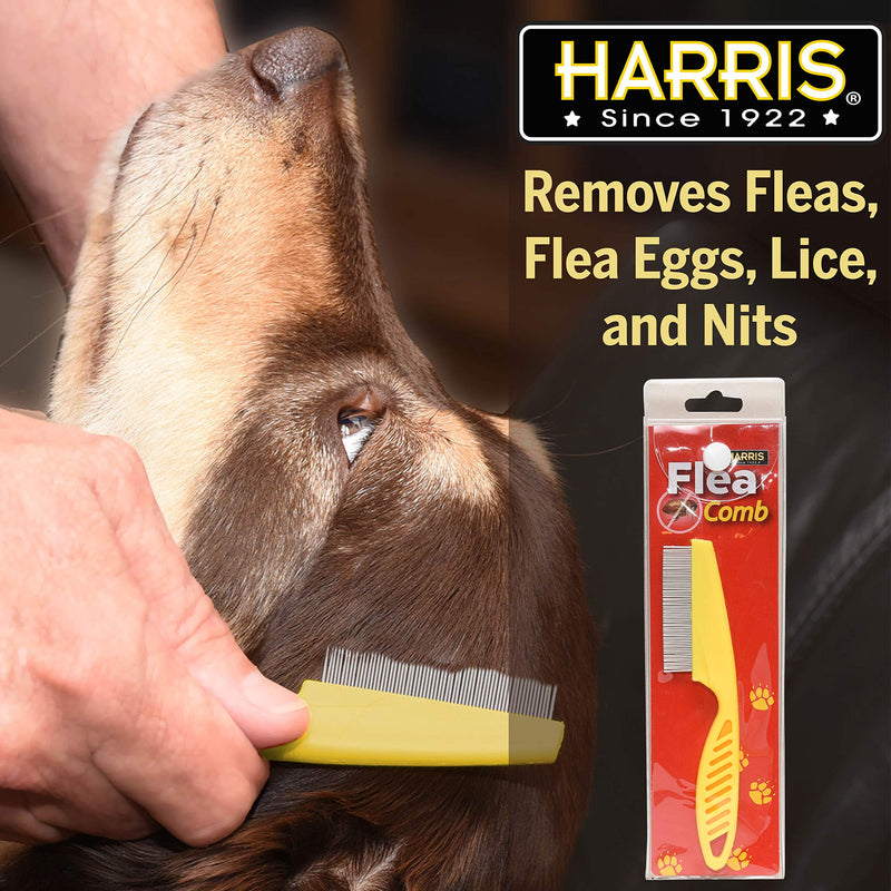 Harris Flea Comb- Flea, Nit and Lice Removal for Cats and Dogs - PawsPlanet Australia