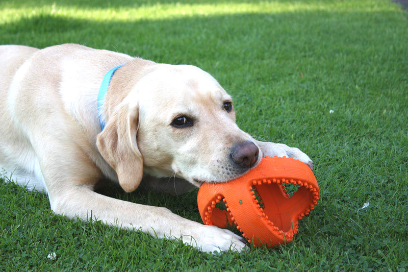 Happy Pet - Cultivator Football - 18 cm - dog toy - 1 piece 1 Count (Pack of 1) Rugby Ball - PawsPlanet Australia