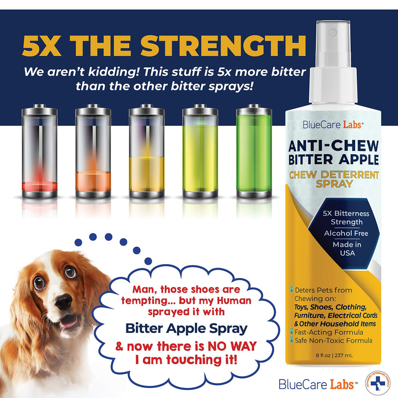 Bitter Apple Spray for Dogs to Stop Chewing Furniture & Household Items Pet Corrector Spray for Dogs, Strong Anti Chew Deterrent Spray for Dogs & Puppies Natural NO CHEW Spray ALCOHOL FREE NON TOXIC - PawsPlanet Australia