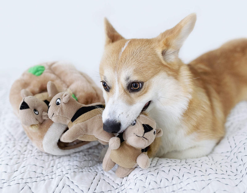 Outward Hound Squeakin' Squirrels Plush Replacement Dog Toys - 3 Pack Replacement Animals (3-Pack) - PawsPlanet Australia