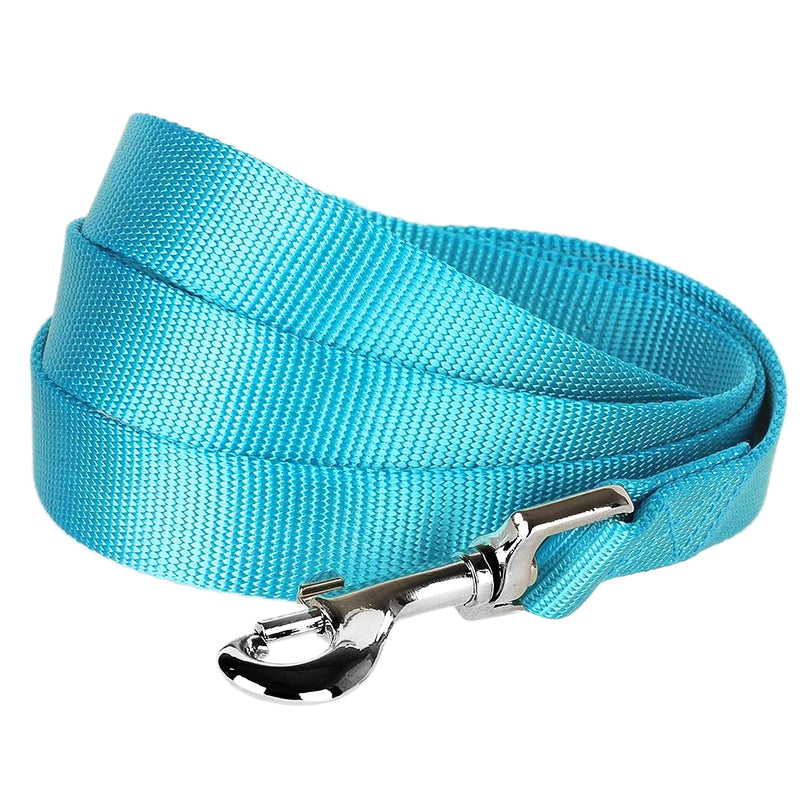 Blueberry Pet 2cm by 150cm Classic Plain Basic Nylon Dog Leads Durable - Medium Turquoise, M, Matching Dog Collar & Harness Available Separate 2cm x 150cm - PawsPlanet Australia