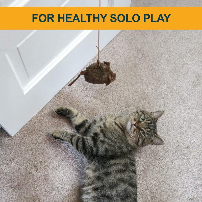 Our Pets Cat Toy Mouse Play-N-Squeak Cat Toys for Indoor Cats [Interactive Cat Toy, Catnip Toy, Catnip Toys for Cats, Real Mouse Sound] Kitty and Kitten Toys w/ Cat Nip for Enrichment Batting Practice (Pack of 1) - PawsPlanet Australia