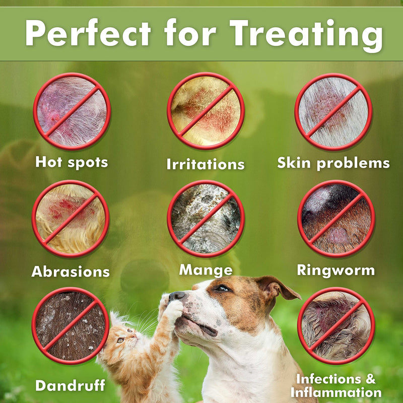 Arava Natural Medicated Dog Shampoo – Anti Yeast Anti Itch Dog Shampoo - Healthy Skin & Coat - First Aid in Hot Spots Ringworm Scrapes Abrasions Medicated Shampoo - PawsPlanet Australia