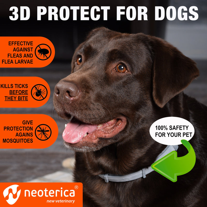 Rolf Club 3D Flea Collar for Dogs - Flea and Tick Control and Prevention for 6 Months - Safe Tick Repellent - Waterproof Tick Treatment (M) - PawsPlanet Australia