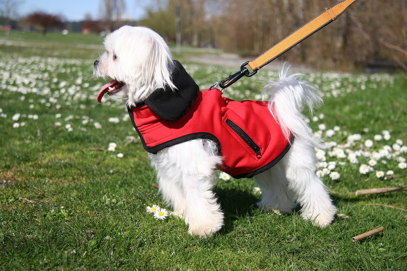 [Australia] - Louie de Coton Sporty Water Repellent Windproof and Breathable Soft Shell Small Dog Vest Limited Edition Made in USA by 