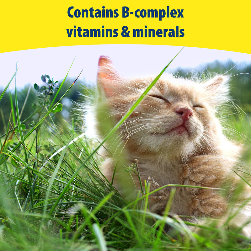 Kitzyme | Healthy Cat Vitamins, also Suitable for Kittens | Promotes Fitness & Vitality | Tasty Fish Bites with Zinc & Cranberry (30 Tablets) - PawsPlanet Australia