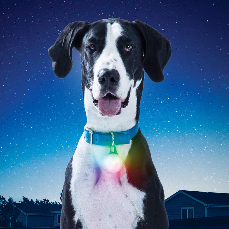 [Australia] - Nite Ize Spotlit XL LED Collar Light, Carabiner Clip Dog Light, USB Rechargeable, Disc-O Select Color-Changing Light 