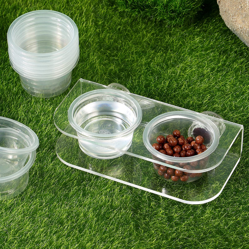 POPETPOP Reptile Feeder with 10Pcs Plastic Bowls- Reptile Food Bowl Water Dish Transparent Feeding Basin for Gecko Lizard Snakes - PawsPlanet Australia