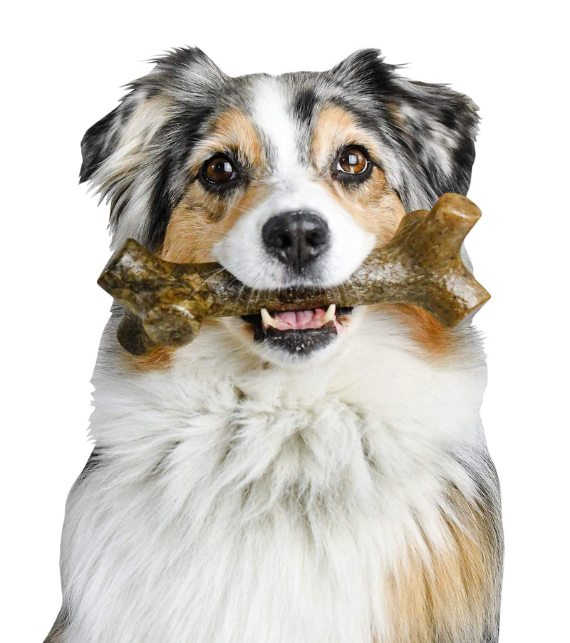 [Australia] - Pet Qwerks BarkBone Stick - For Aggressive Chewers Peanut Butter Large 