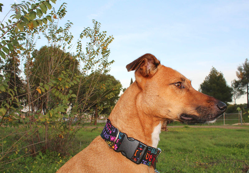 candyPet® Click Collar for Dogs - Best Friend Model Ancho 4 cm (30-55cm diámetro) - PawsPlanet Australia