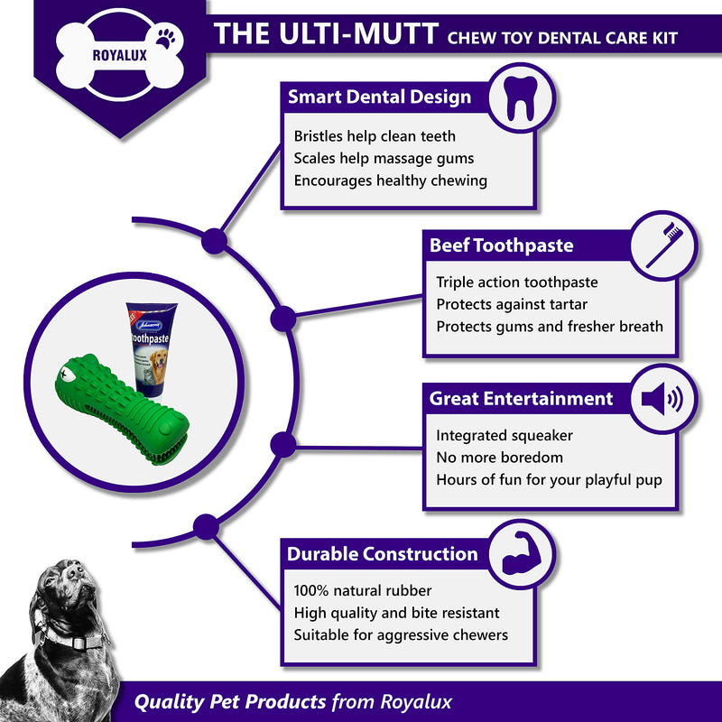 ROYALUX Ulti-Mutt Dog Toothpaste and Chew Toy Dental Care Kit, Durable Dog Chew Toy Toothbrush Bundle for Teeth Cleaning, Johnsons Toothpaste Beef Flavour, Interactive Hygiene - PawsPlanet Australia