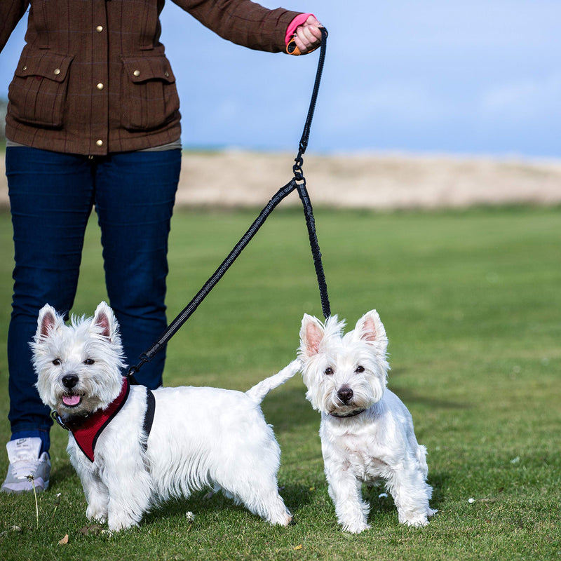 Sweetie Dog Lead Splitter – Dual Shock Absorbing Bungee Double Leash Coupler - Perfect Leads for Walking 2 Small to Medium Dogs on One Lead - No Tangle 360° Swivel Clip - Reflective Stitching Bungee Splitter - PawsPlanet Australia