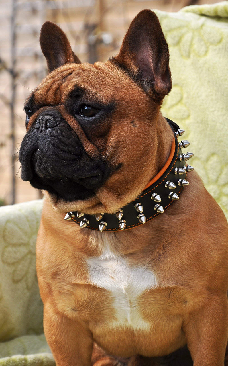 Bestia Frenchie Collar with Screw Tips M- fits a neck of 40- 47,5 cm (15.7- 18.7 inch) Black padding - PawsPlanet Australia