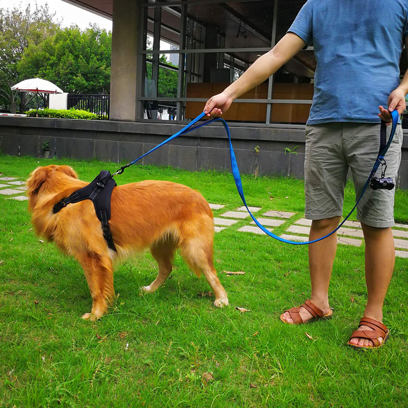 [Australia] - DOGSAYS Dog Leash 5ft Long Traffic Padded Two Handle Heavy Duty Double Handles Lead for Large Dogs or Medium Dogs Training Reflective Leashes Dual Handle 5 FT Blue 