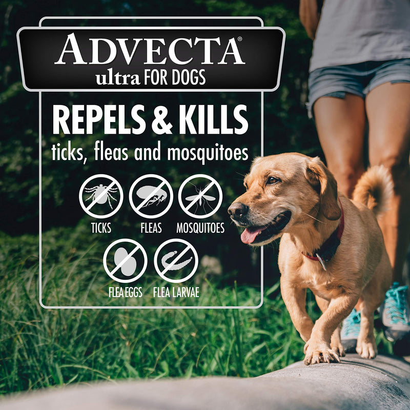 Advecta Ultra Flea & Tick Topical Treatment, Flea & Tick Control for Dogs Medium - PawsPlanet Australia