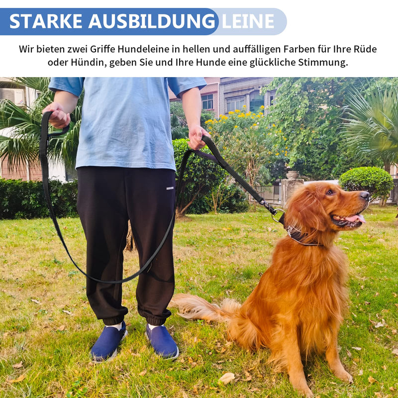 Reflective dog leash 1.8 m, robust nylon training leash with two soft padded handles and auto lock carabiners, control anti-pull leash for puppies, small, medium, large dogs, black, 6 ft 180 cm x 2.5 cm x 2.8 mm - PawsPlanet Australia