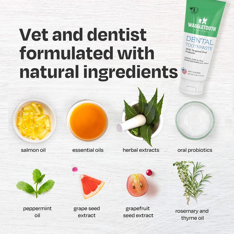 Natural Dog Toothpaste Enzymatic with Probiotics - Toothpaste for Dogs Reduces Tartar and Plaque - Manufactured in USA - with Natural Ingredients for Dog Teeth Cleaning and Dog Dental Care - Mint - PawsPlanet Australia