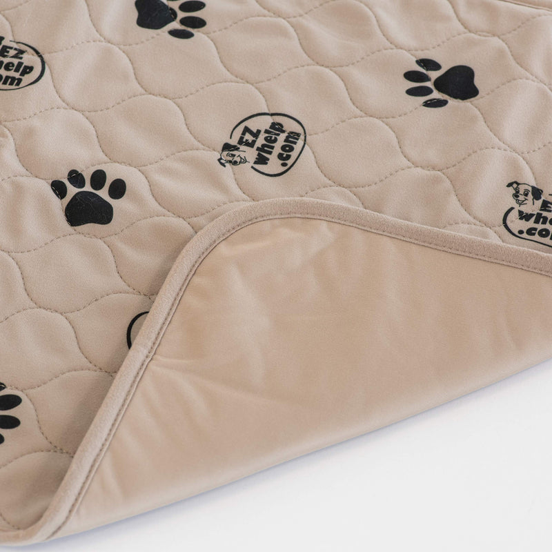 [Australia] - EZwhelp (Value 2-Pack Machine Washable, Reusable Pee Pad/Quilted, Fast Absorbing Dog Whelping Pad/Waterproof Puppy Training Pad/Housebreaking Absorption Pads 24x36 