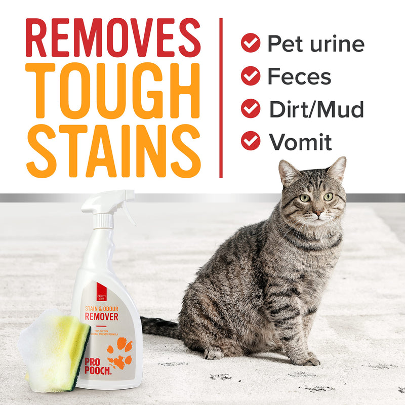 Pet Urine Stain and Odour Remover (1 Litre). Professional Strength Repellent For Dogs and Cats. Neutralise Urine Smell & Faeces - PawsPlanet Australia