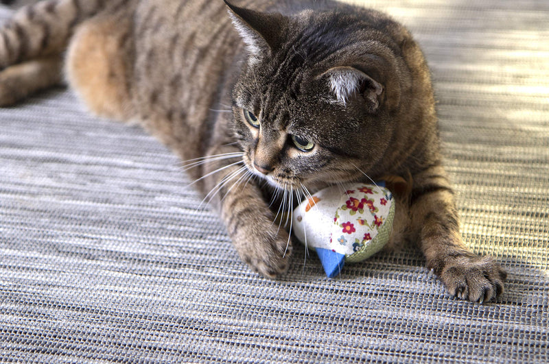 [Australia] - Petlinks System Sweet Tweet Cat Toy Medium 