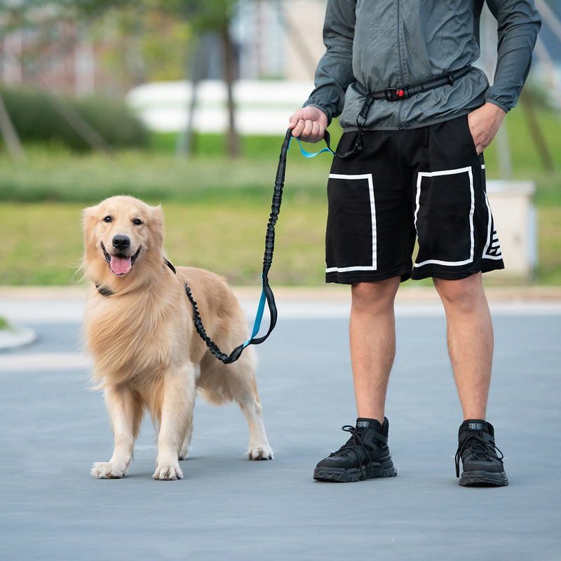 iYoShop Hands Free Dog Leash with Zipper Pouch, Dual Padded Handles and Durable Bungee for Walking, Jogging and Running Your Dog, Medium (8-25 lbs) | Large (25-150 lbs) Black - PawsPlanet Australia