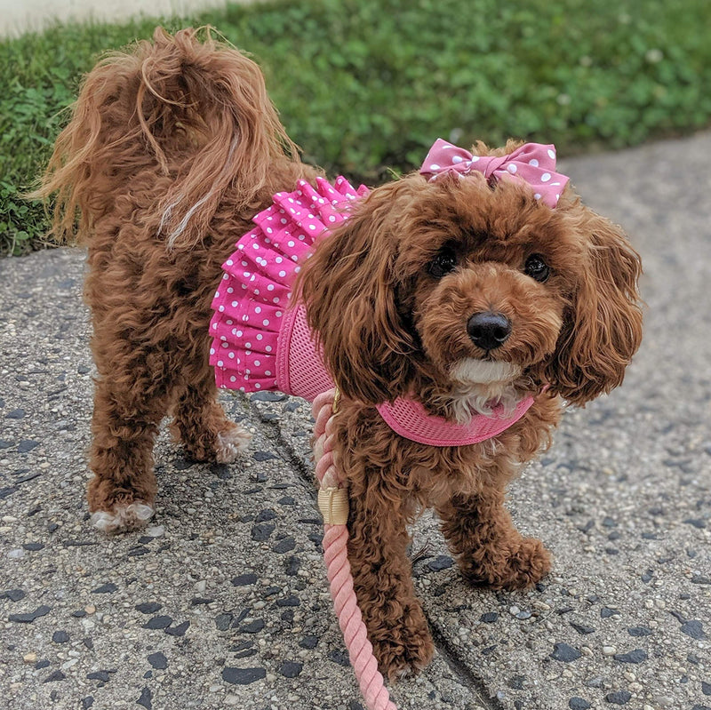 Parisian Pet Dog Harness Dress, Pink Dots, XL - PawsPlanet Australia