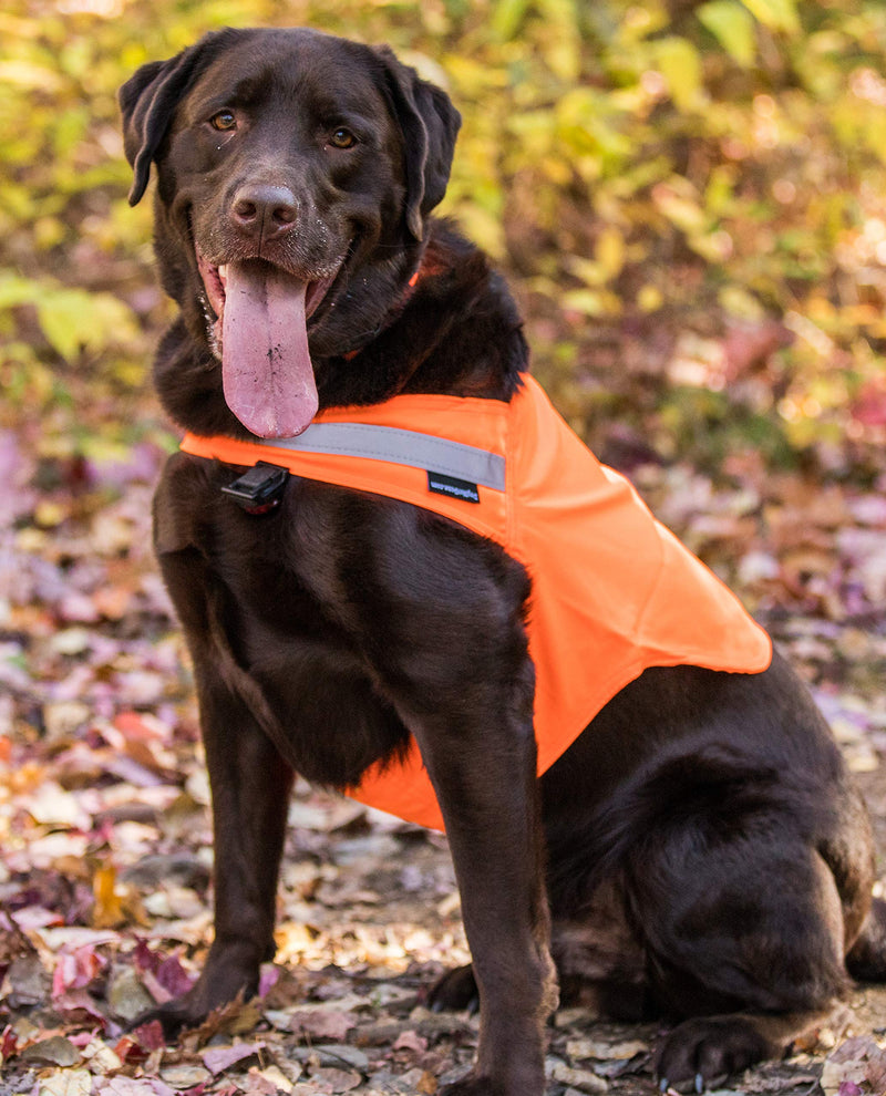 [Australia] - Dog Not Gone No Fly Zone Safety Vest for Dogs, Medium, Orange 