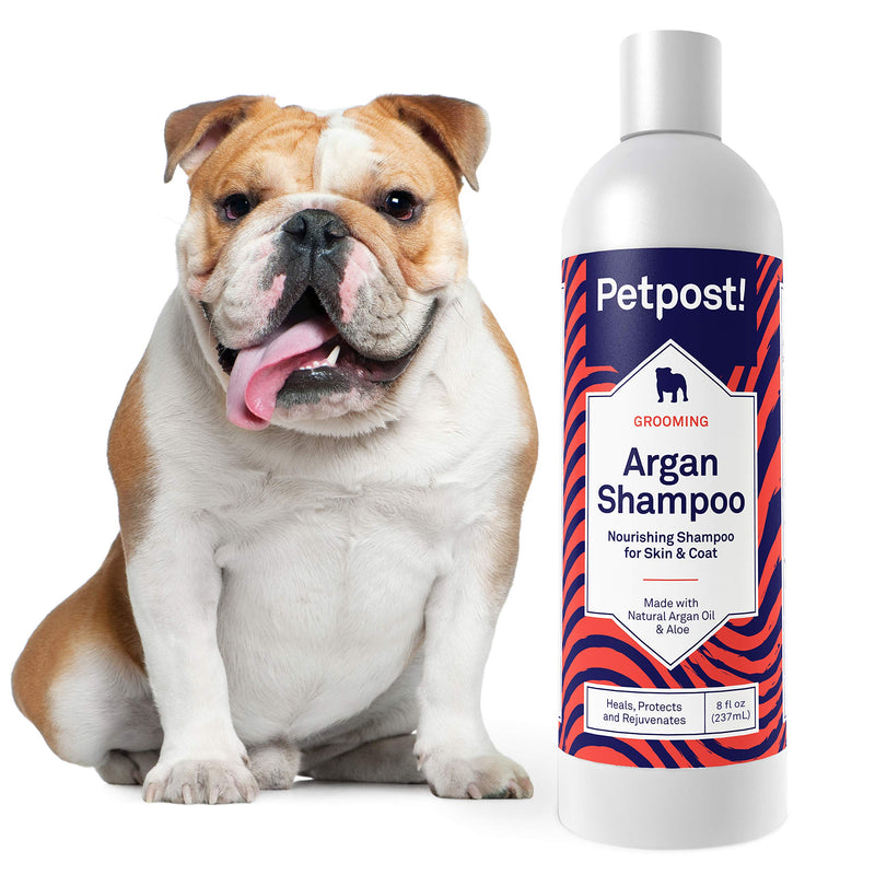 [Australia] - Petpost | Argan Shampoo for Dogs - Naturally Heals, Protects, Rejuvenates Dog Dry Skin & Coat - Argan Oil and Aloe Formula 8 Ounce 