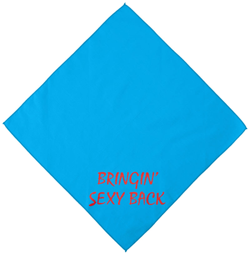 Mirage Pet Products Bringin Sexy Back Screen Print Bandana for Pets, Small, Turquoise S - PawsPlanet Australia