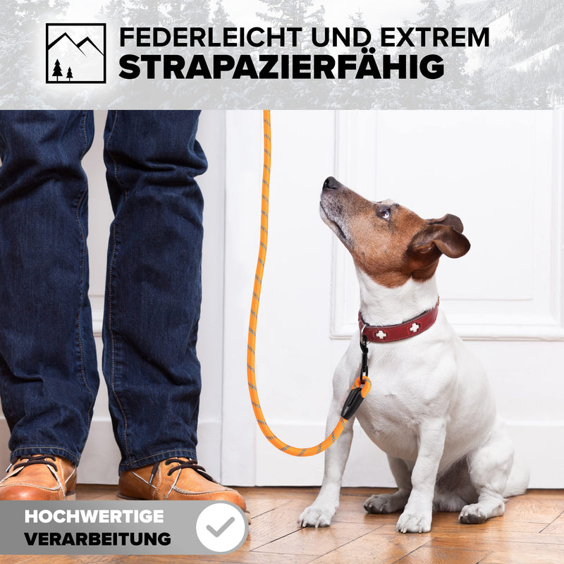 District North Reflective Dog Lead - 150cm Long Training Lead for Dogs - Comfortable Padded Lead Dog Leash - Class Dog Lead for Large Dogs (150cm, Orange) 150cm - PawsPlanet Australia