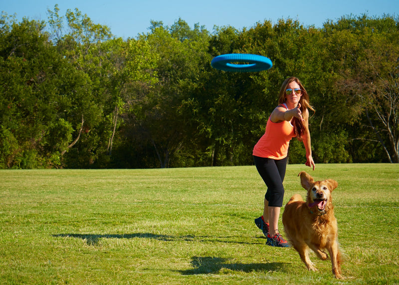 [Australia] - CHUCKIT! Rugged Flyer Dog Toy Large 