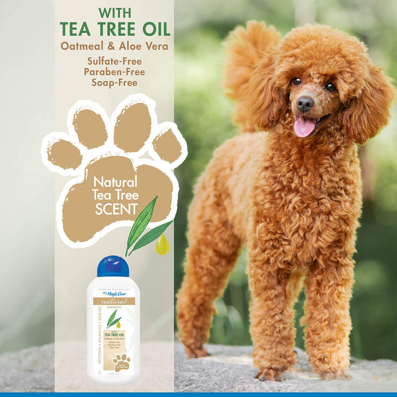 [Australia] - Four Paws 100526413 Magic Coat Tea Tree Oil & Aloe Vera Natural Dog Shampoo with Oatmeal, 16 oz, Tree Tea Oil 