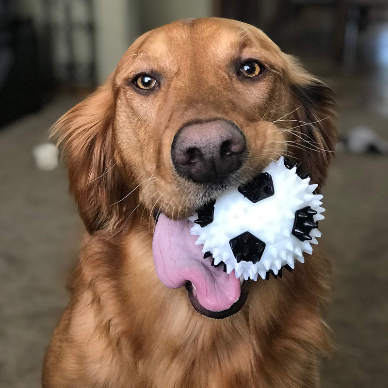 [Australia] - Gnawsome 3.5” Squeaker Soccer Ball Dog Toy - Medium, Promotes Dental and Gum Health for Your Pet, Colors Will Vary 