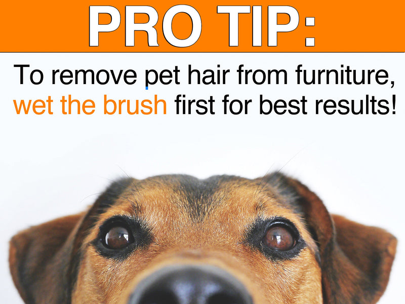 Dasksha Dog Hair Remover - Pet Fur and Lint Remover for Furniture, Car Interiors, Rugs, Carpets Green - PawsPlanet Australia