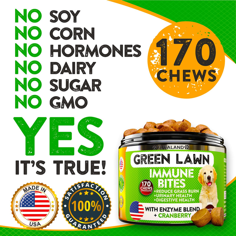 Grass Burn Spot Chews for Dogs - Dog Pee Lawn Spot Saver Caused by Dog Urine - Grass Treatment Rocks - DL-Methionine + Digestive Enzymes - Dog Urine Neutralizer for Lawn - 170 Treats Bacon - PawsPlanet Australia