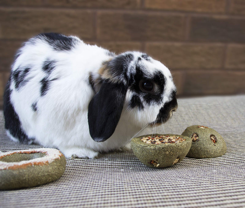 Rosewood Boredom Breaker Treat 'N' gnaw Small Animal Bunny Buns - 2 count 2 Count (Pack of 1) - PawsPlanet Australia