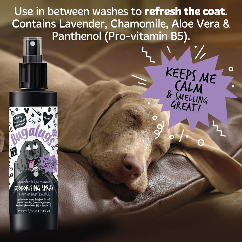 BUGALUGS Lavender & Chamomile Dog perfume dog spray with spray pump, Vegan dog cologne is a dog deodoriser spray. dog perfume spray dog deodorant use with our Dog Shampoo groom (3x 200ml) 3x 200ml - PawsPlanet Australia